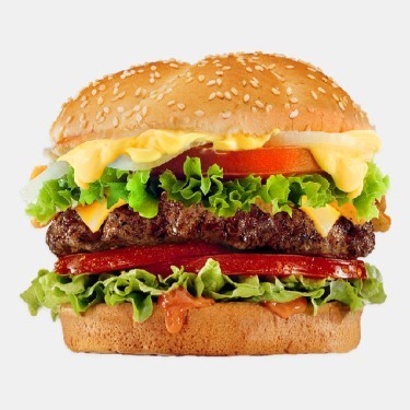 برگر مخصوص
