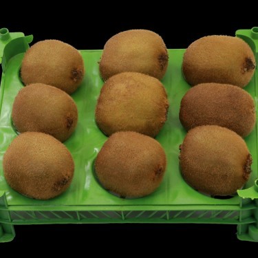 کیوی تک ردیف (۱ کیلو)