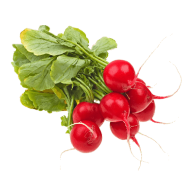 تربچه (نیم کیلو)